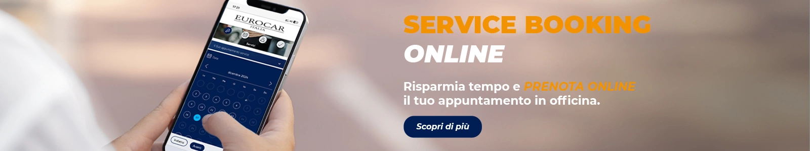 Service Booking Online - Saottini